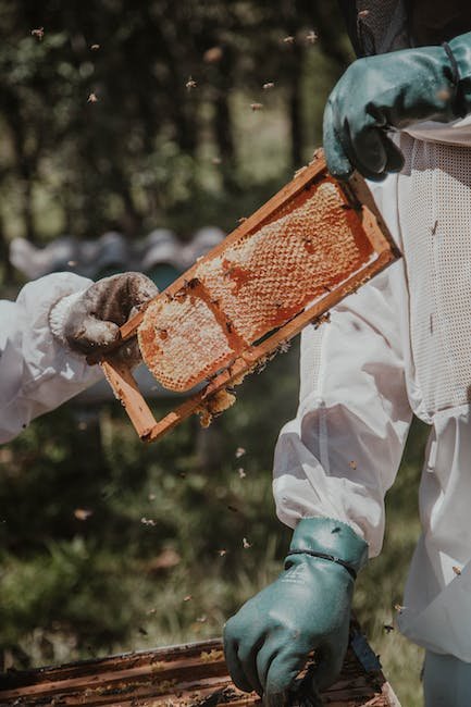 How to Legally Harvest and Label Your Honey