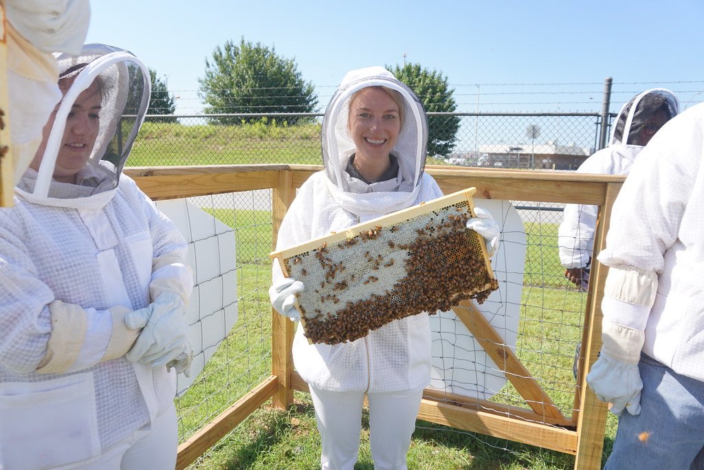 The Role of Beekeeping Clubs in Urban Settings