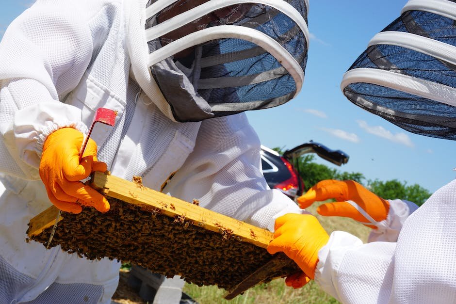 Maximizing Honeybee⁣ Health:‌ Understanding the⁣ Benefits‍ of ⁢Organic Beekeeping in ​Urban Areas