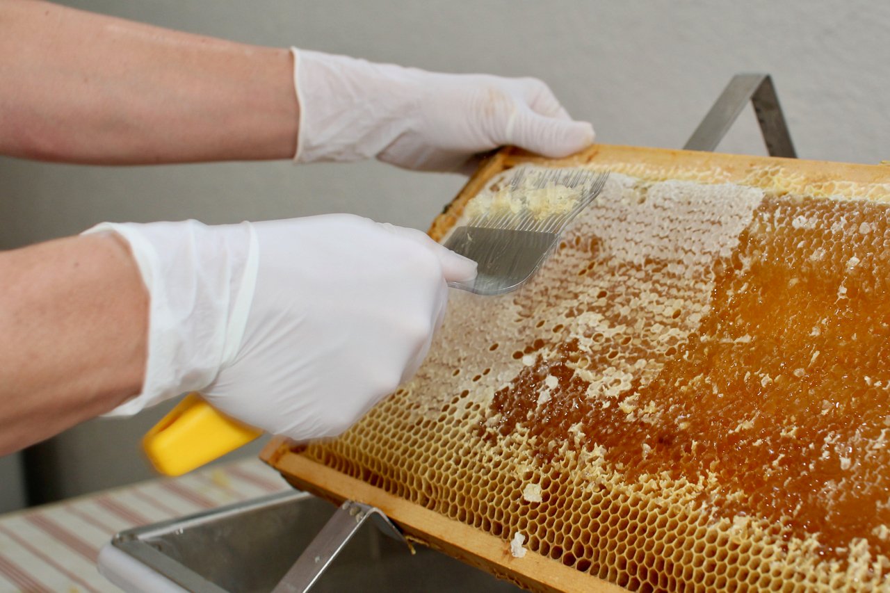 How to Use a Honey Uncapping Roller: A Guide