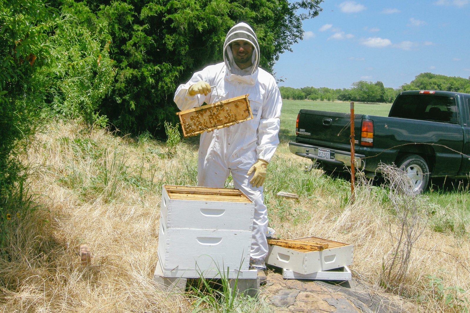The Legalities of Beekeeping in National Parks