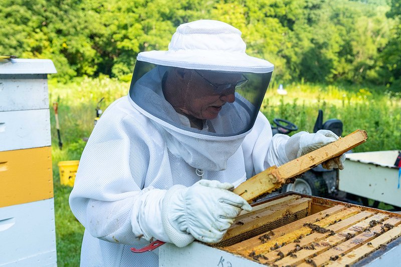 How to Choose the Best Beekeeping Apron: A Buyer’s Guide