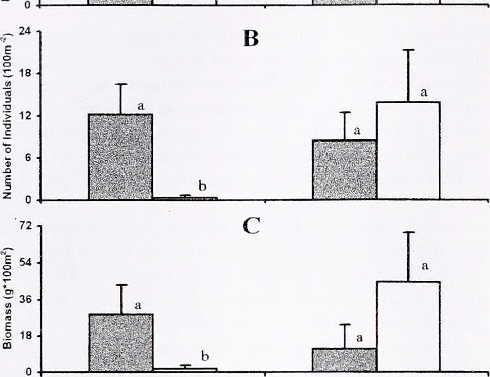 Enhancing Foraging Efficiency through Diverse Ground Cover Species