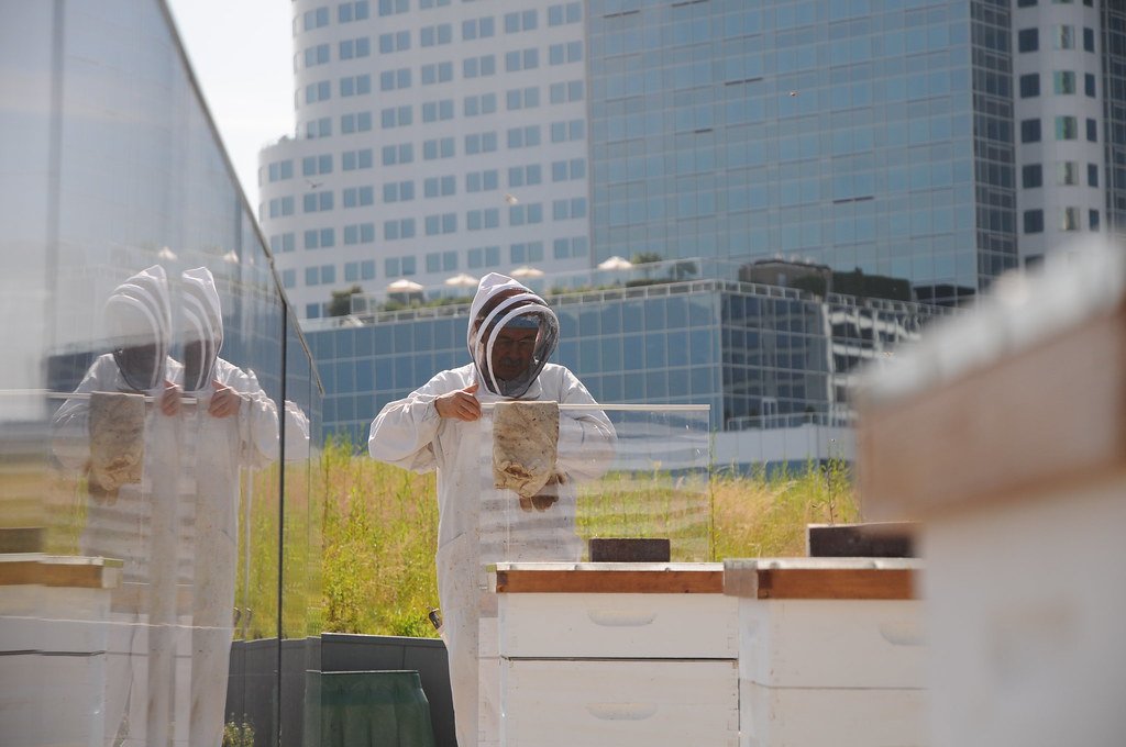 - Urban Beekeeping: Equipping ⁢Yourself with the Right Tools