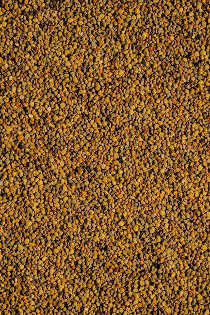 How to Use Bee Pollen for Sustainable Living