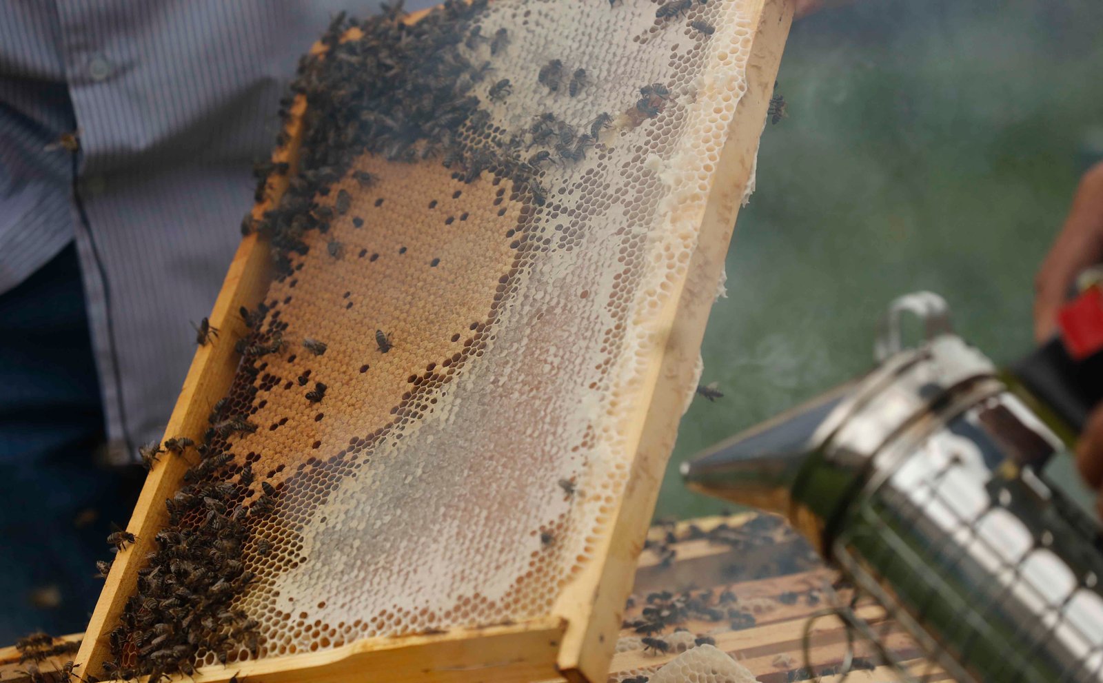 Step-by-Step Guide: Crafting Your Own Bee Smoker