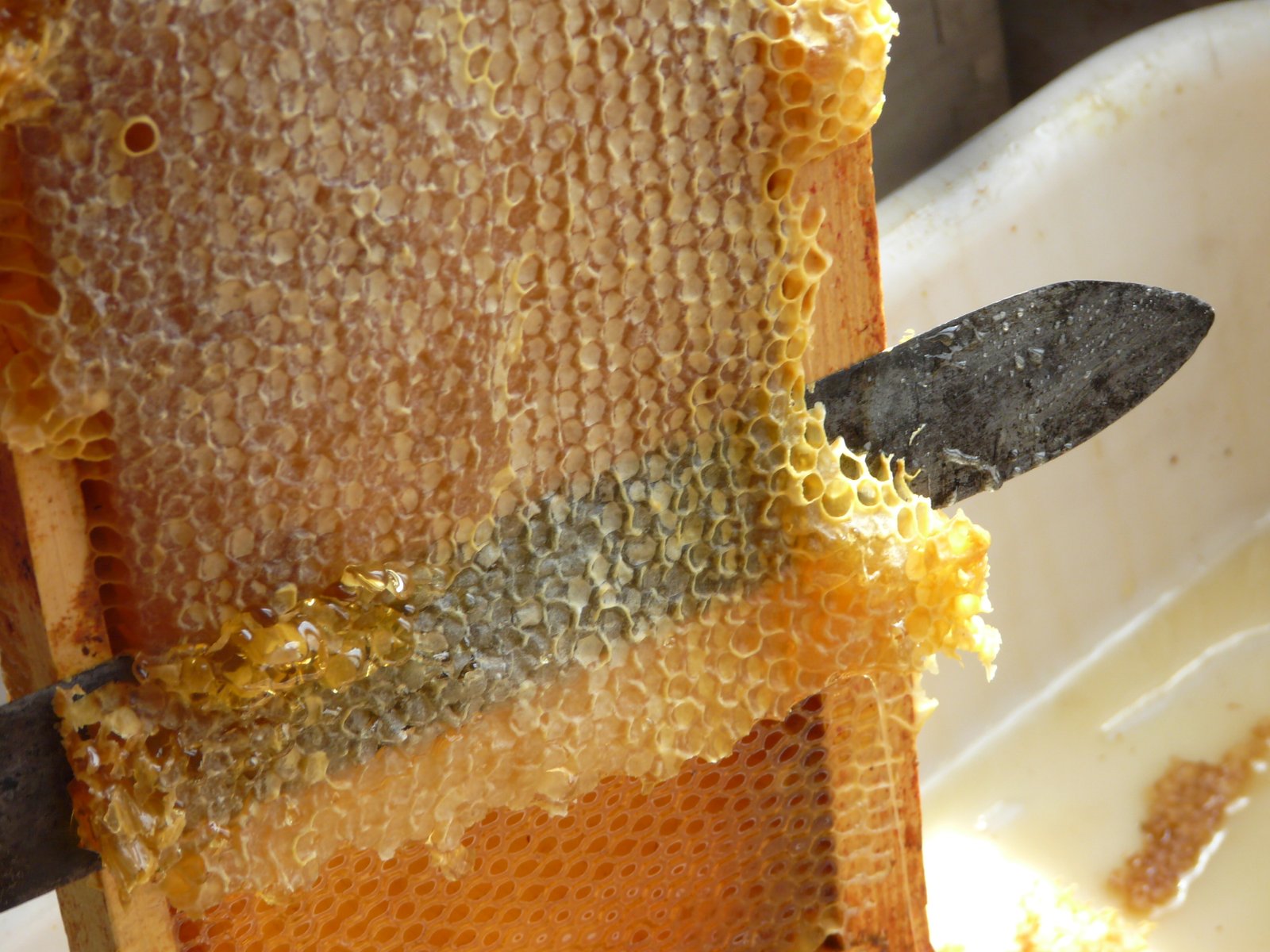 Unlock the Sweet Reservoirs: Quick Tips for⁤ Using⁤ a Honey Uncapping Roller