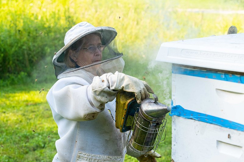 Understanding the Impact of ⁢Seasonal Beekeeping on Pollination