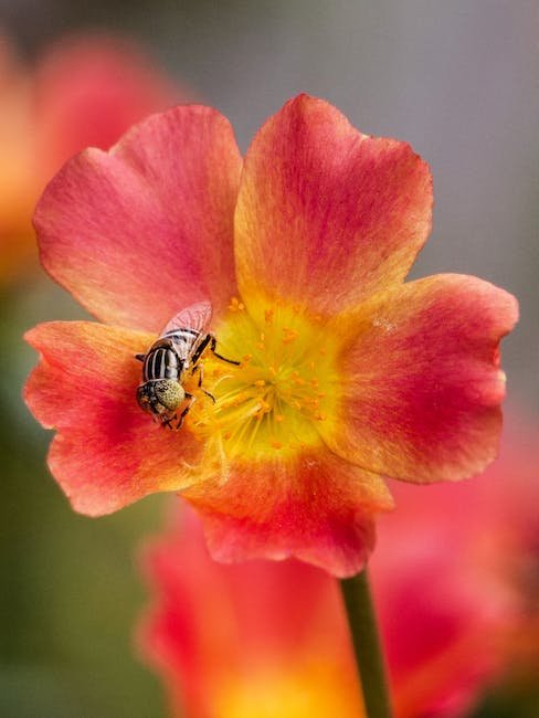 Understanding the Loss of Bee Populations and its Impact on Ecosystems