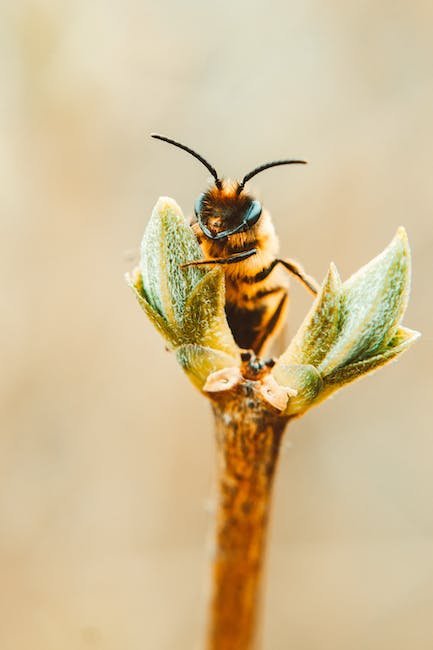 Unveiling the Science: Why Do⁢ Bees Yawn ‌and What Does It Mean?