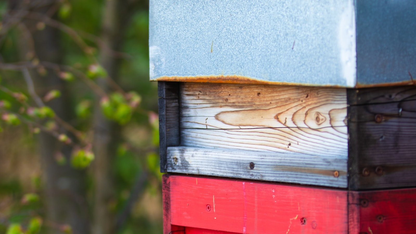 Insulating Your Beehive:​ Protecting the Colony from ‌Winter Chill