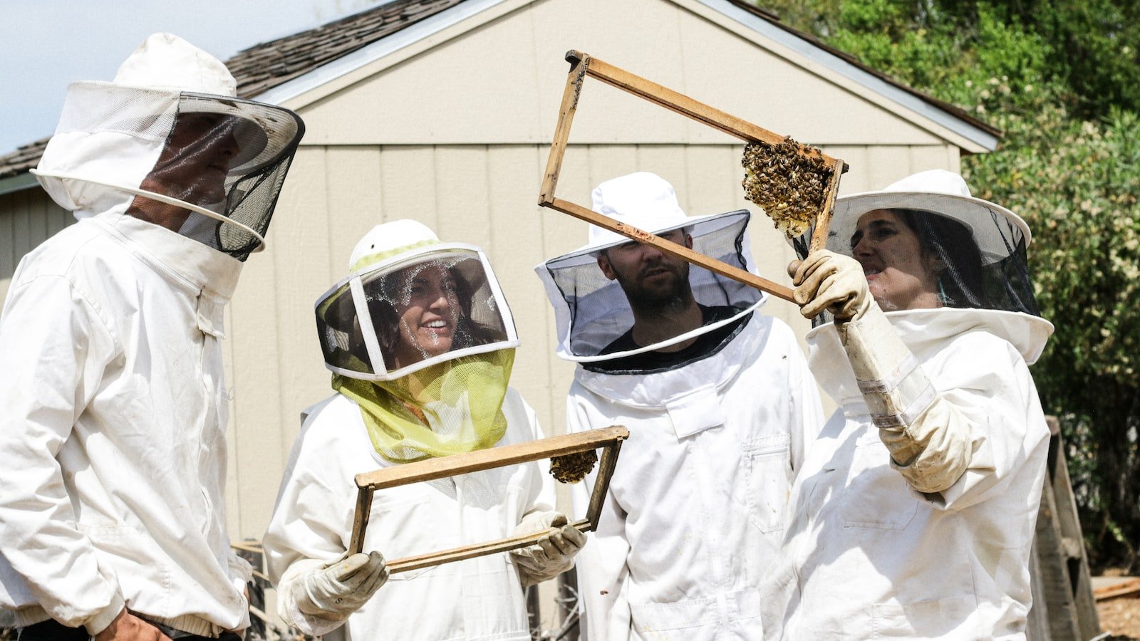 Preserving Traditional Wisdom: Beekeeping as a Cultural Practice
