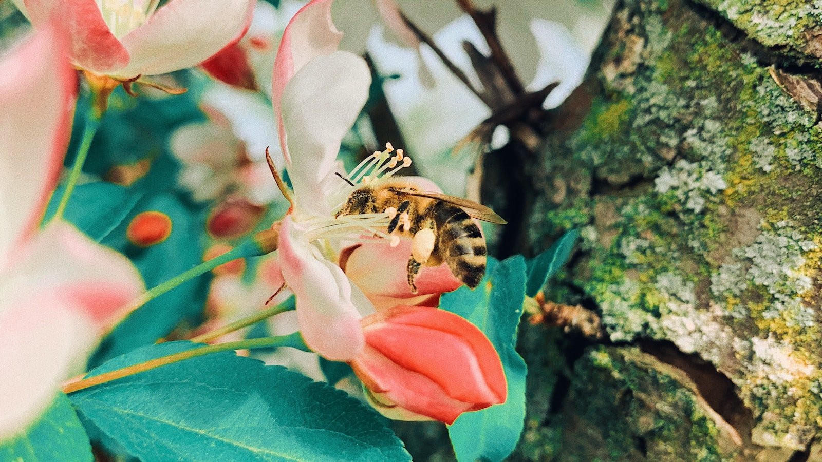 Creating a Haven for Bees through Garden Art